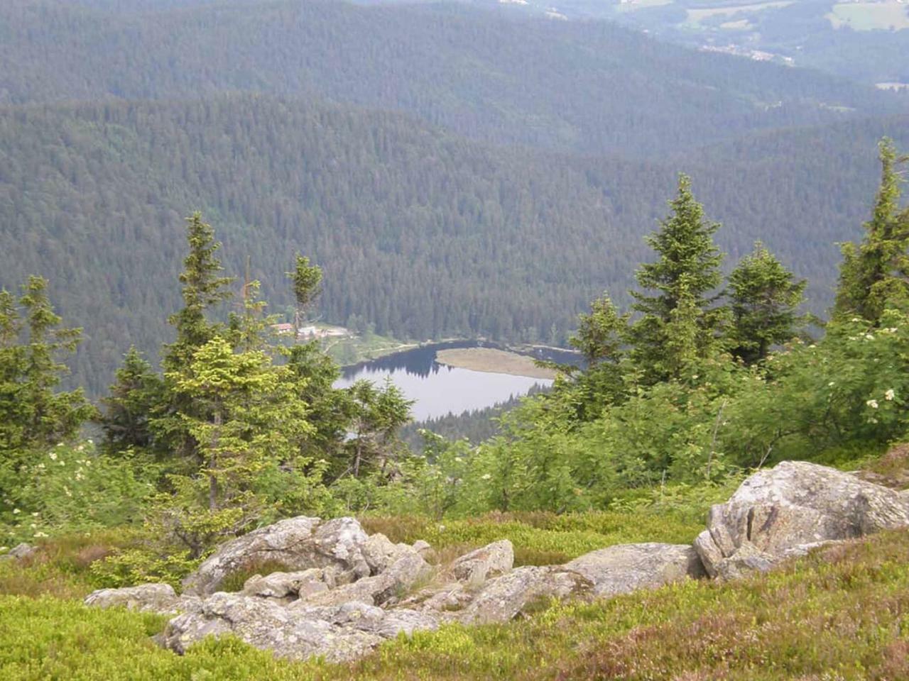 Gaestehaus Schmalzreich Lam Kültér fotó