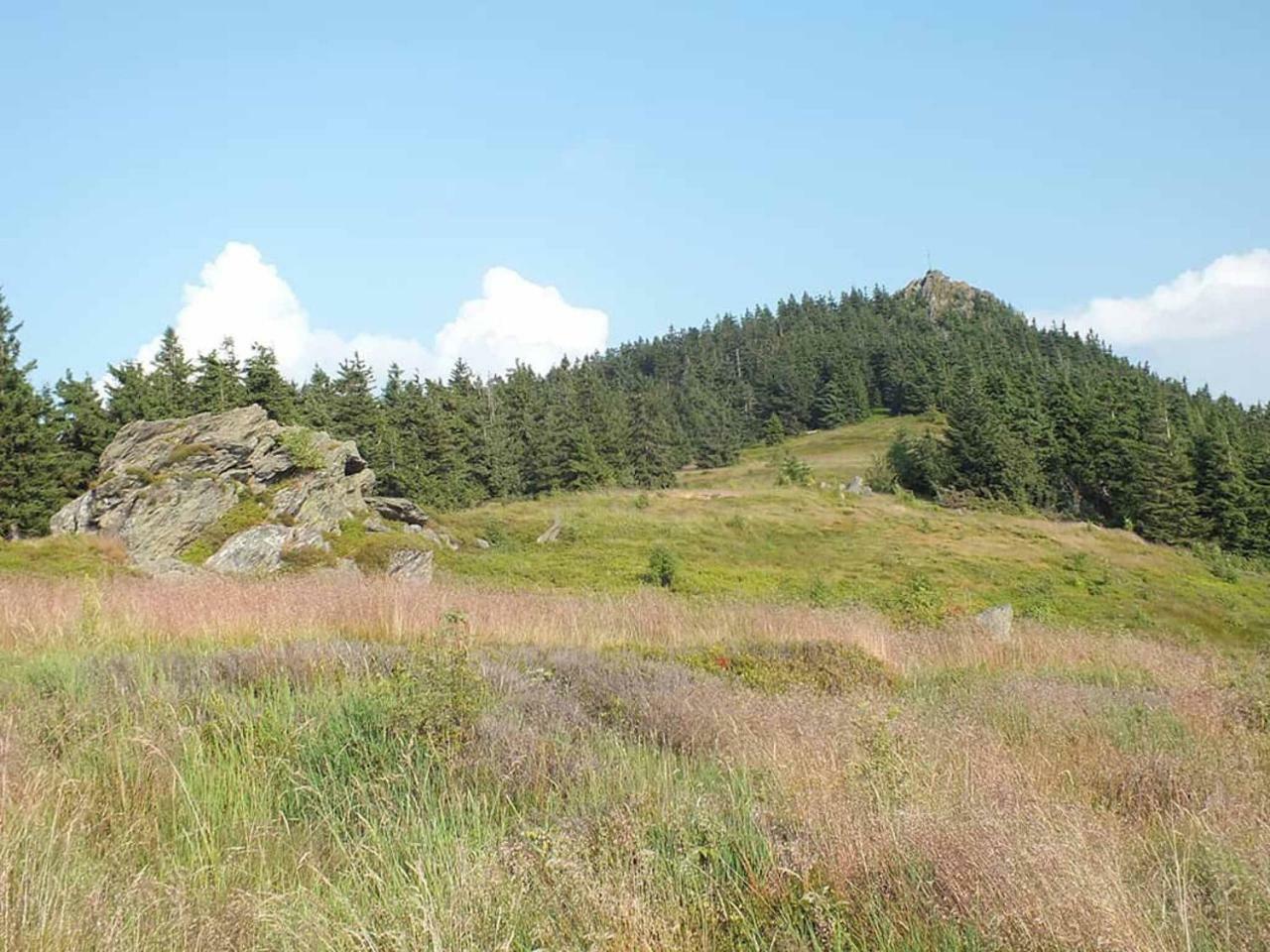 Gaestehaus Schmalzreich Lam Kültér fotó